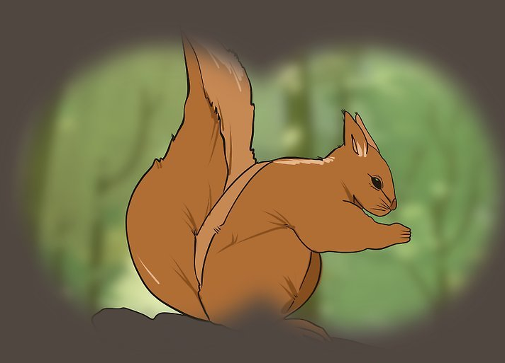 info-712-513 info-712-513