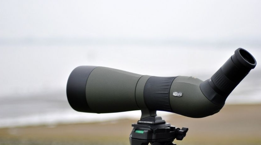 info-831-463 info-831-463